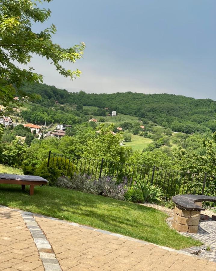 Vass-Villa Vendeghaz Szekszard Exterior photo